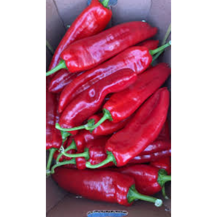 Long Pepper(Tatashe)